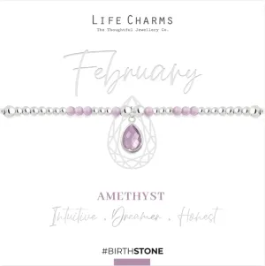 Life Charms February Birthstone Bracelet