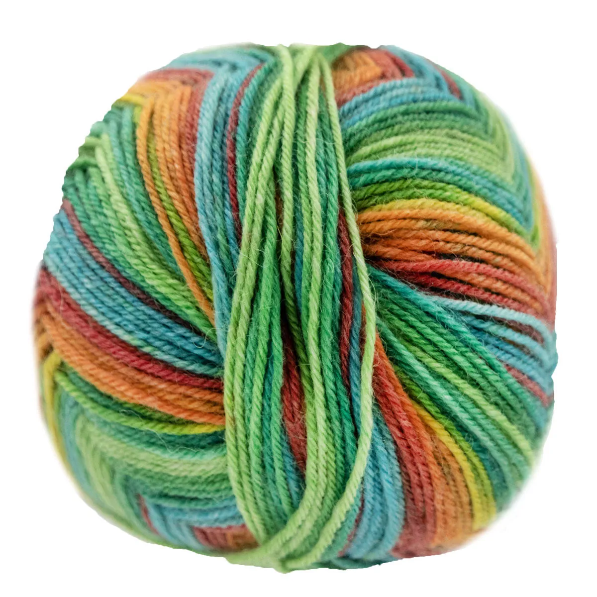 Opal Regenwald: 20th Anniversary Edition Yarn - 9777 Love In The Ghost Train