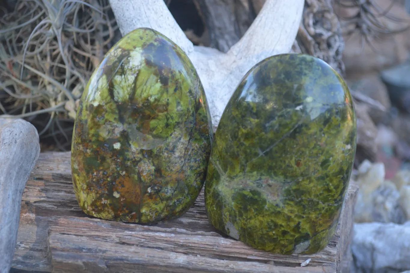 Polished Green Opal Standing Free Forms  x 2 From Antsirabe, Madagascar